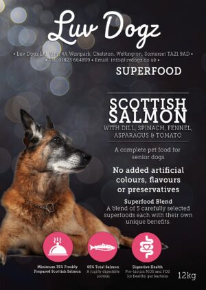 Superfood Adult Scottish Salmon - Senior