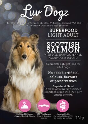 Superfood Adult Scottish Salmon - Light