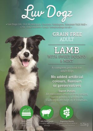 Grain Free Adult Lamb With Mint