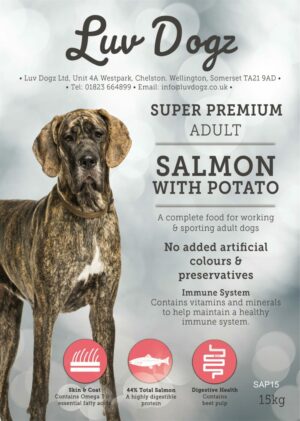 Working Super Premium Adult Salmon With Potato 15kg - Best Seller!!
