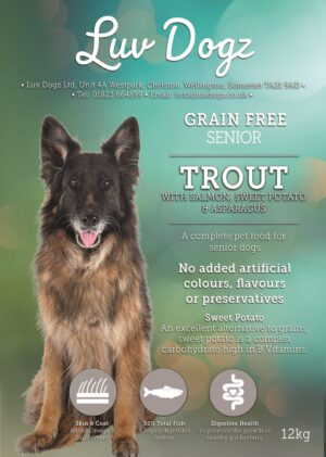 Grain Free Senior Trout With Salmon