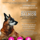 Working Senior Scottish Salmon