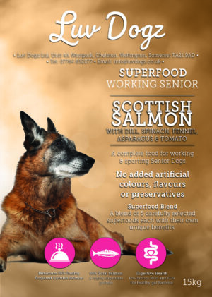 Working Senior Scottish Salmon