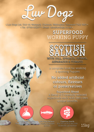 Working Superfood Puppy Scottish Salmon