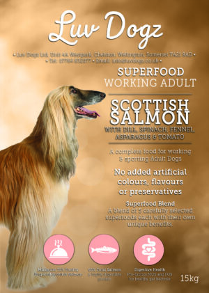Working Superfood Adult Scottish Salmon